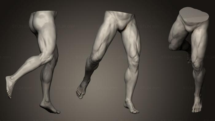 Anatomy of skeletons and skulls (Male Legs 5, ANTM_0165) 3D models for cnc